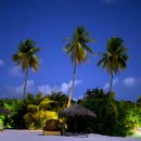 플루800 | 몰디브 여행 럭셔리 리조트 추천 디구파루 리조트 후기