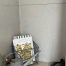 스테이 경화 이미지