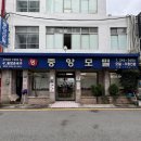 [뉴미디어 멤버스] 봄꽃과 맛집을 함께 즐기는 부산의 봄