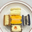 카페 디저트 납품되는 큐앤비푸드 냉동마카롱 5구
