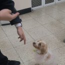 경기대명고등학교 이미지