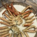 사계절꽃게 이미지