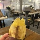 자미애견 이미지