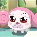 신흥야채 이미지