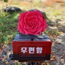 드롭플라워 이미지
