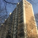 강남-201 이미지