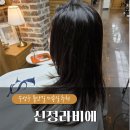 매직 | 대구 수성구 들안길 프라이빗 미용실 신정라비에 매직 후기