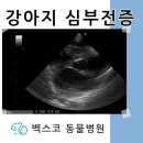 벡스코 동물병원 이미지