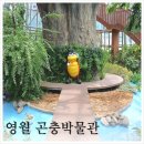 동강생태공원생태정보관 네이버블로그
