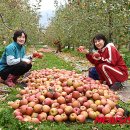 정병수농장 이미지