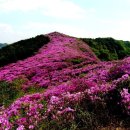 아영면 오산마을 이미지