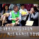 퍼스트독, 캣 이미지