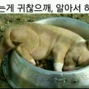 아라선 이미지