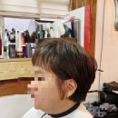구스헤어 이미지