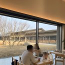 담양들꽃향기TWO | < 담양 > 신상 대형 카페 " 들꽃숲 " 내돈내산 솔직후기 + 자리 꿀팁