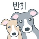 쌍둥이네삼겹살 이미지