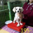 석바위로 이미지