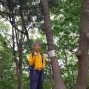 금남정맥 10구간 부여 부소산(扶蘇山 105) 220604
