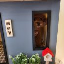 헤이멍 이미지
