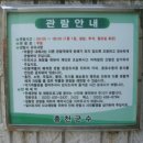 마리악기 이미지