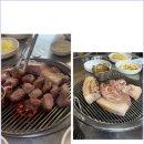 서귀포돈사촌