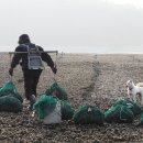 작은수해마을 이미지