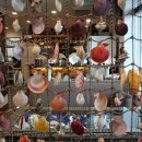 펄레스토랑 이미지