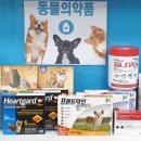 동의온누리약국 이미지