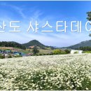장산도 Daum카페