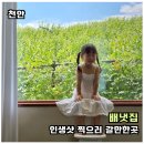 2번째집 | 천안 배냇집 2번째 방문후기 물놀이와 사진 남기기