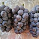 해인들농장 이미지