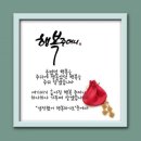 손안에 작은 꽃밭 네이버블로그