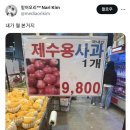 제수용 사과 가격 이미지