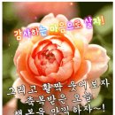 🌼즐거운 일요일~♬ 기쁨이 가득한 날 되세요~! 이미지