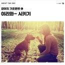 개님살롱 이미지