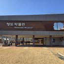 청도박물관 | 주말 나들이 추천! 청도박물관 블록체험 기획전시 무료관람 후기