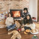 봄날처럼 민박 이미지