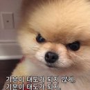 예