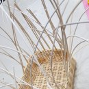 라탄공예 이미지