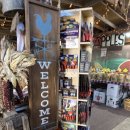 가을농장 이미지