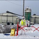 보성농장 이미지