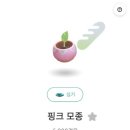 블룸데코