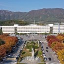 죽방렴영어조합법인 경향신문