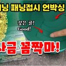 골드패닝 패닝접시 언박싱 이미지