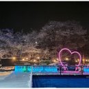 숲속의 하얀펜션 이미지