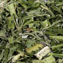 익모초 효능과 부작용 및 섭취 방법 이미지