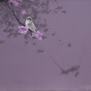 정용주 카카오 검색결과