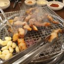 한라돈이 익는 마을애 이미지