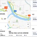 유채꽃길 이미지