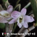 은설농장 이미지